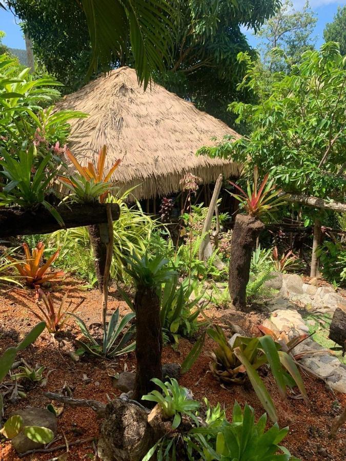 Mabrika Resort Dominica Guillet Exterior foto
